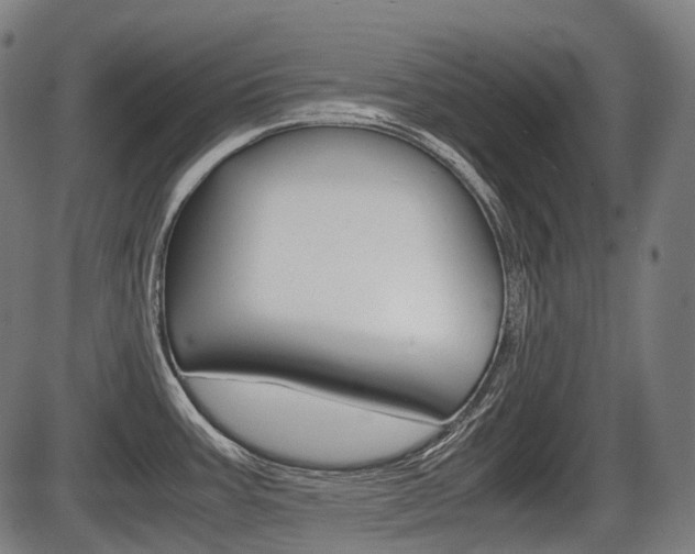 X0000087581387200704271034