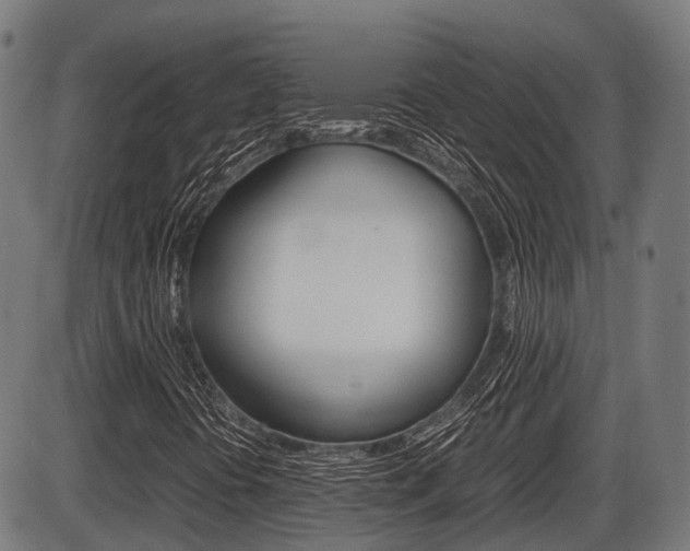 X0000087581394200704271033
