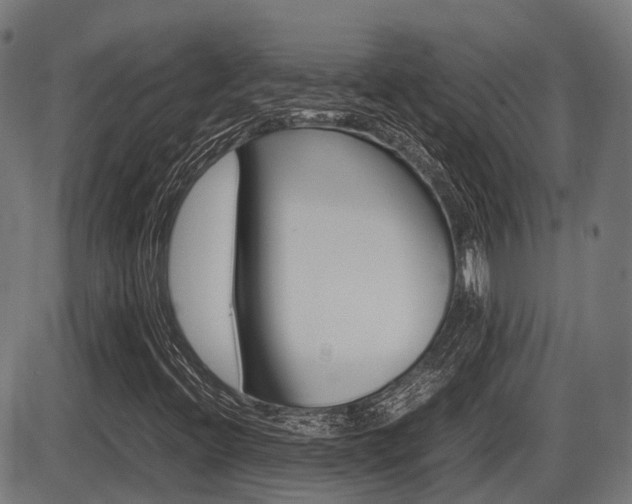 X0000087581396200704271033