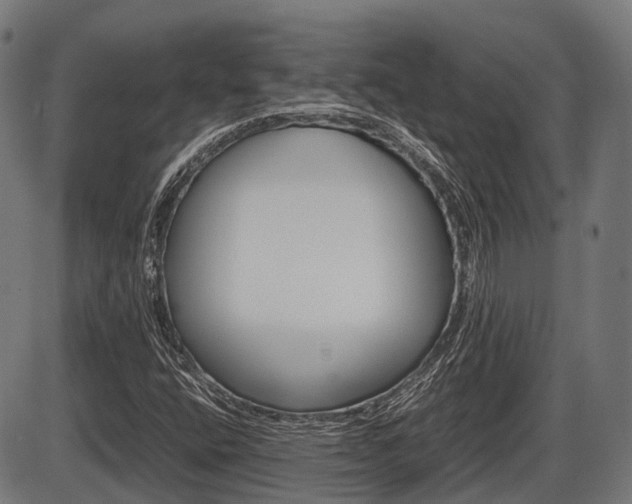 X0000087581400200704271033