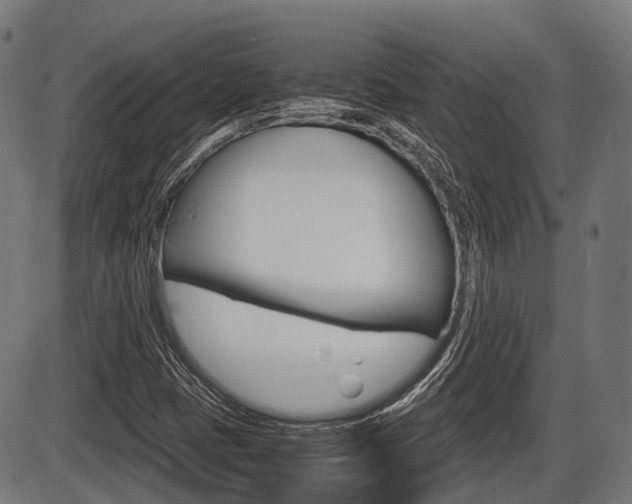 X0000087581401200704271033