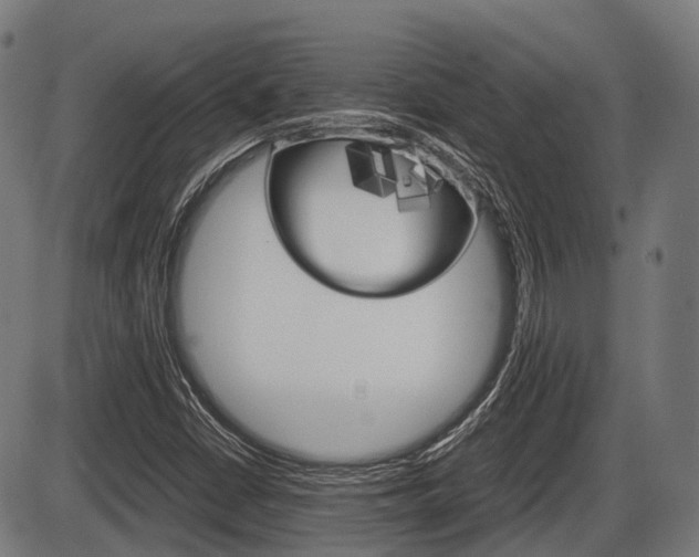 X0000087581402200704271033
