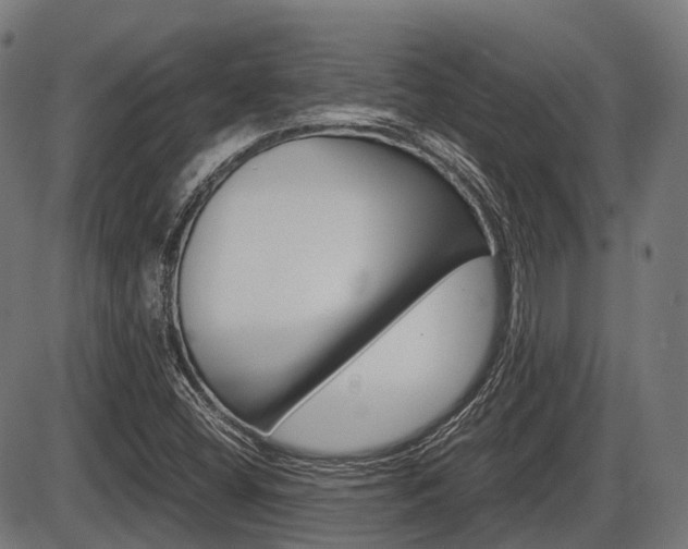 X0000087581404200704271033