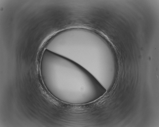 X0000087581408200704271033