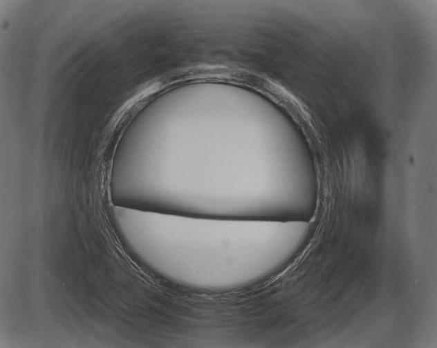 X0000087581411200704271033