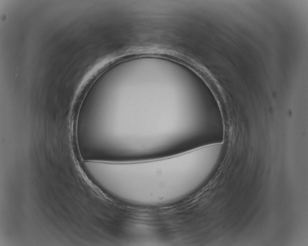 X0000087581416200704271033