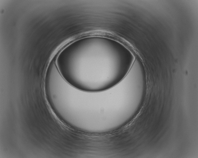 X0000087581418200704271034