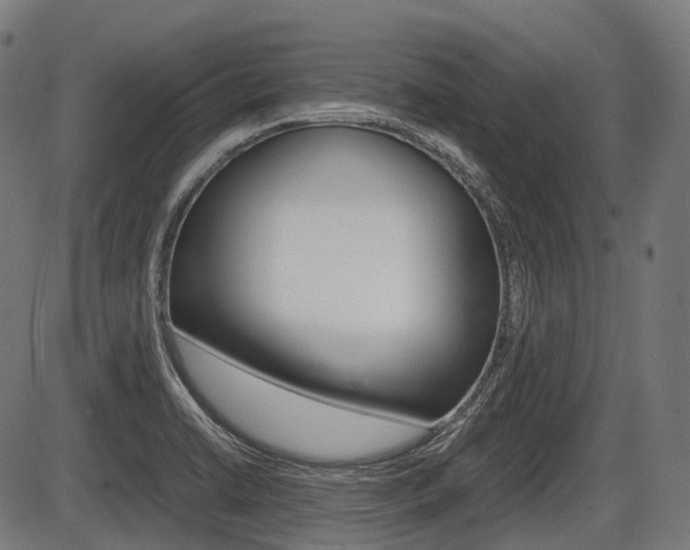 X0000087581422200704271034