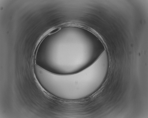 X0000087581434200704271034