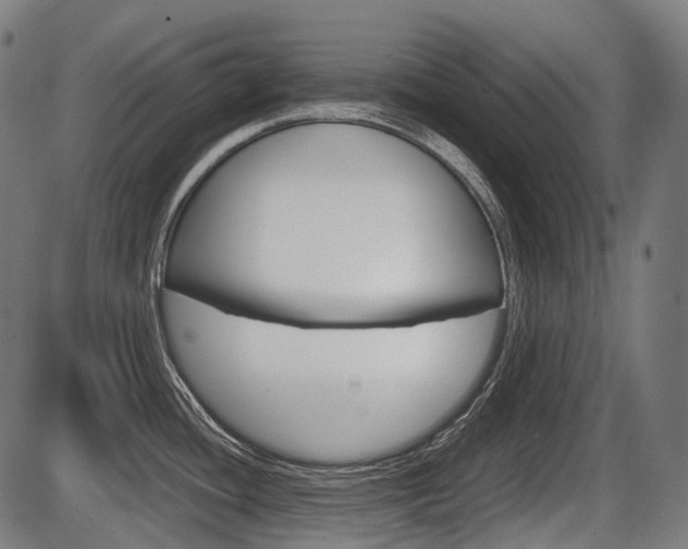 X0000087581436200704271034