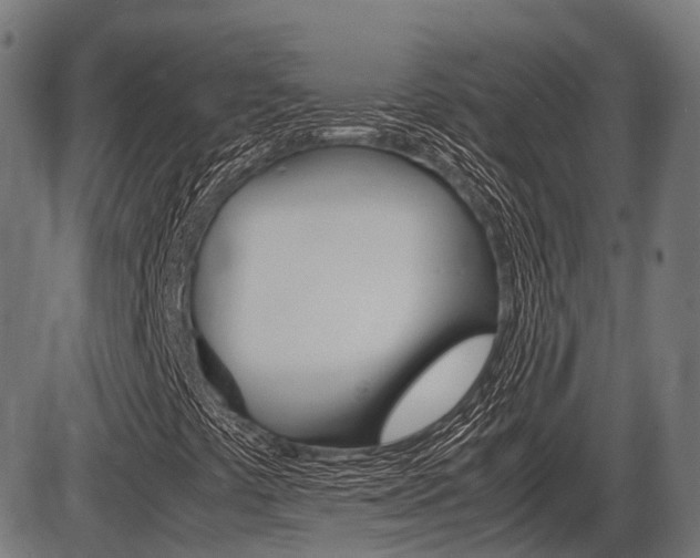 X0000087581441200704271033