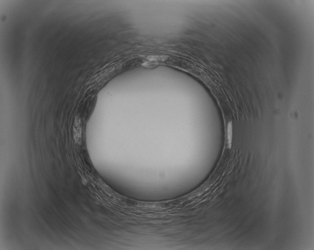 X0000087581443200704271033
