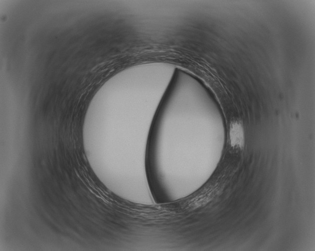 X0000087581444200704271033