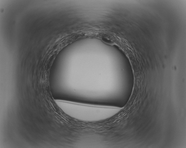X0000087581445200704271033