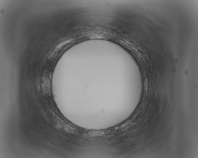 X0000087581446200704271033