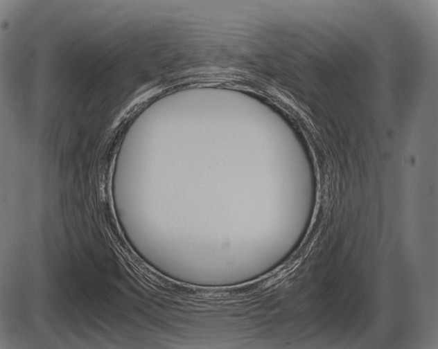 X0000087581451200704271033