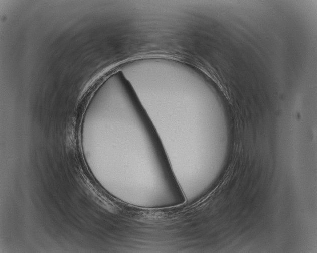 X0000087581452200704271033