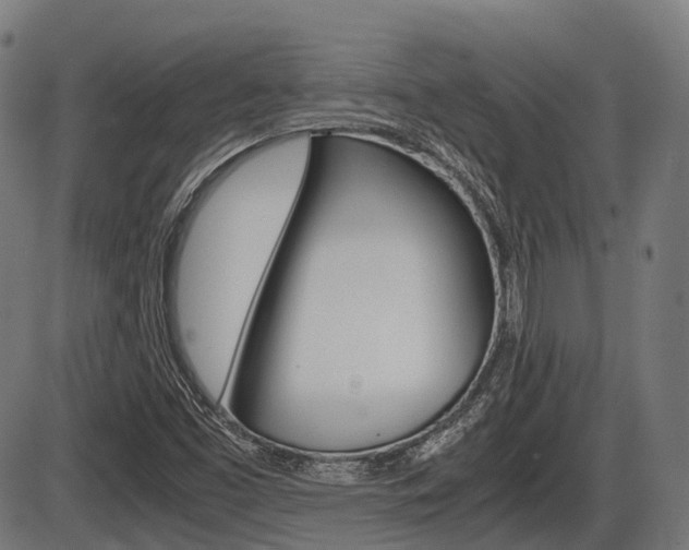 X0000087581453200704271033