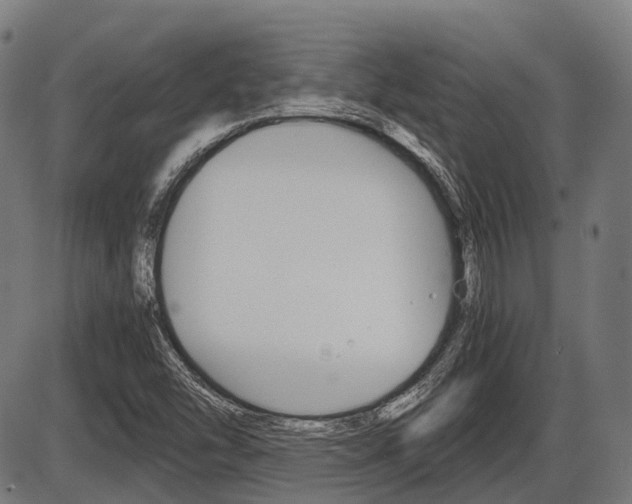 X0000087581454200704271033