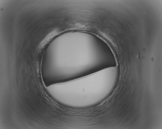 X0000087581455200704271033