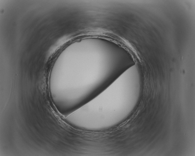 X0000087581456200704271033