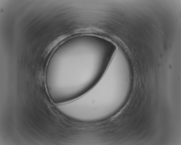 X0000087581457200704271033
