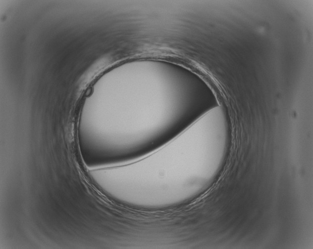 X0000087581459200704271033