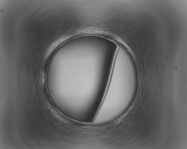X0000087581461200704271033