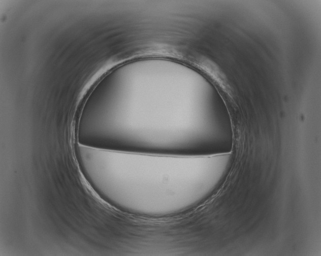 X0000087581468200704271033