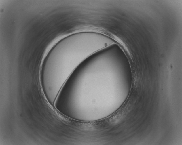 X0000087581472200704271033