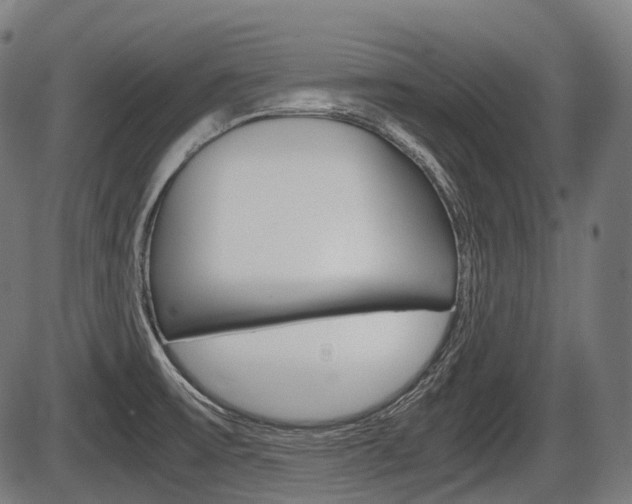 X0000087581475200704271033