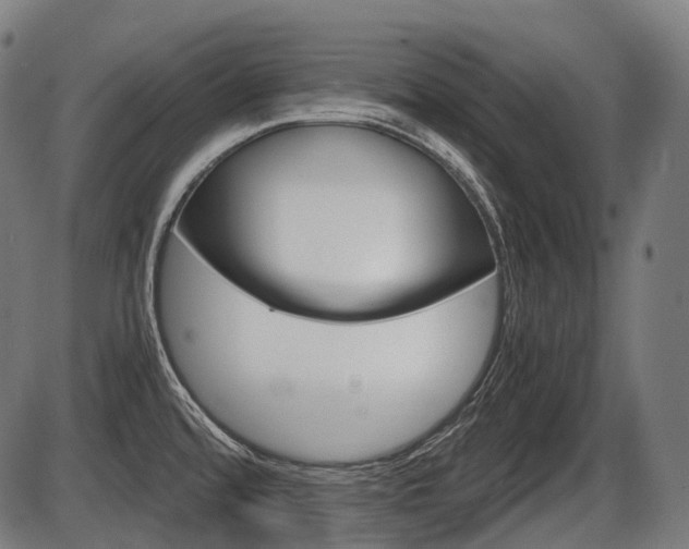X0000087581480200704271032