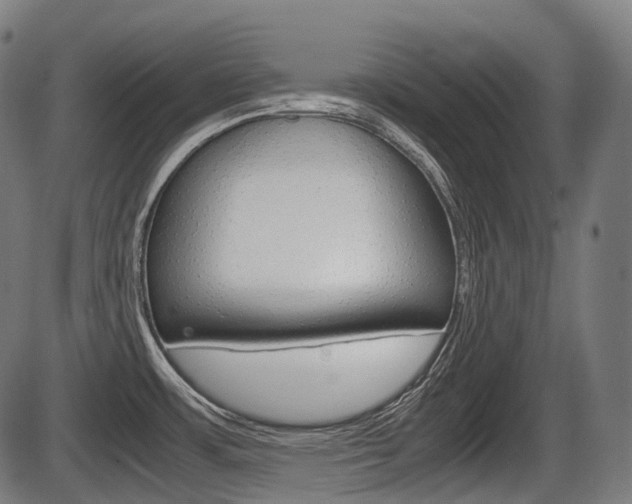 X0000087581483200704271032