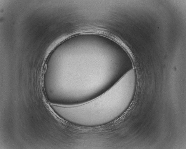 X0000087581485200704271032