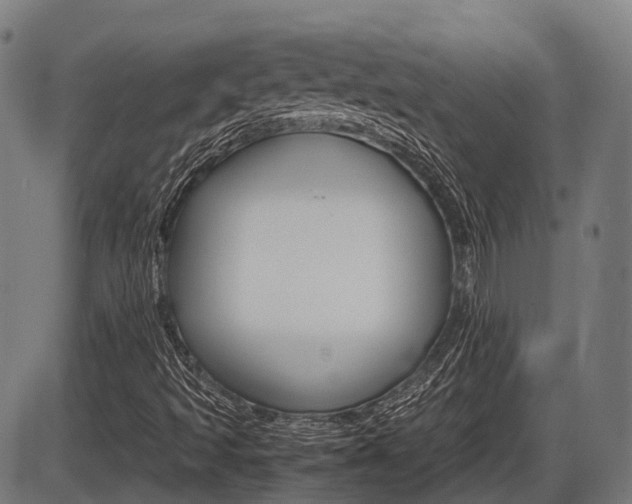 X0000087581493200704271032