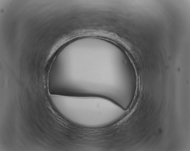 X0000087581501200704271032