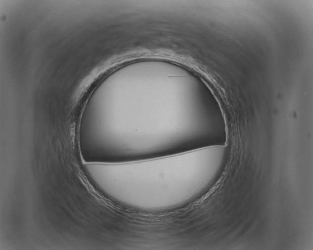 X0000087581503200704271032