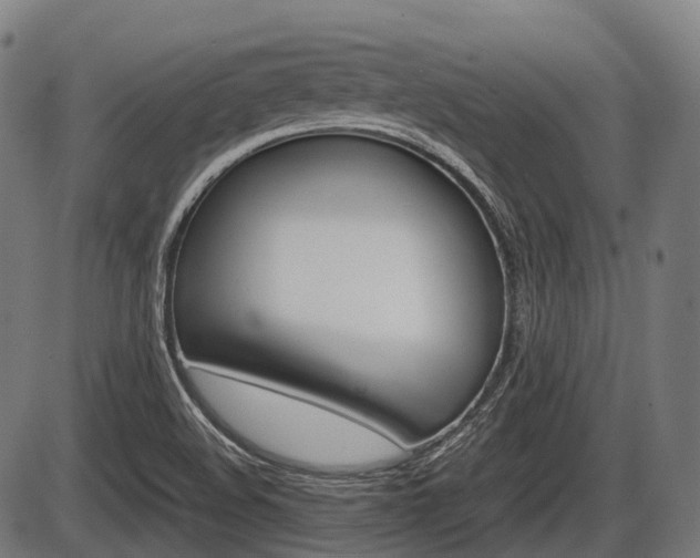 X0000087581508200704271032