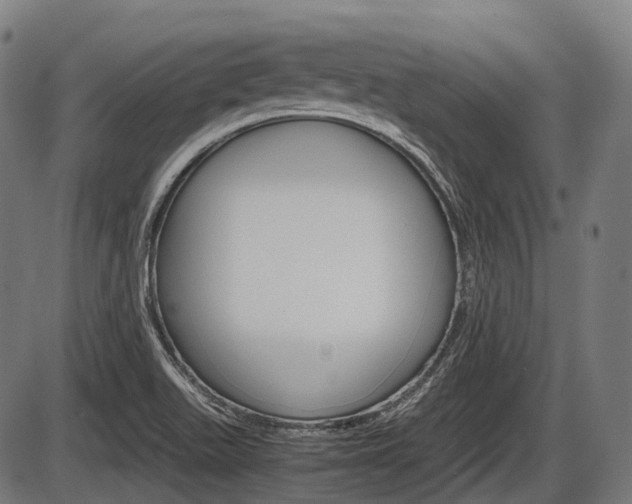 X0000087581511200704271032
