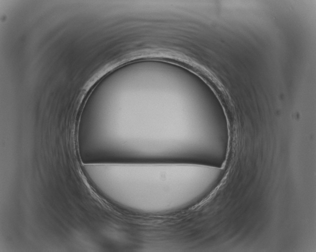 X0000087581513200704271032