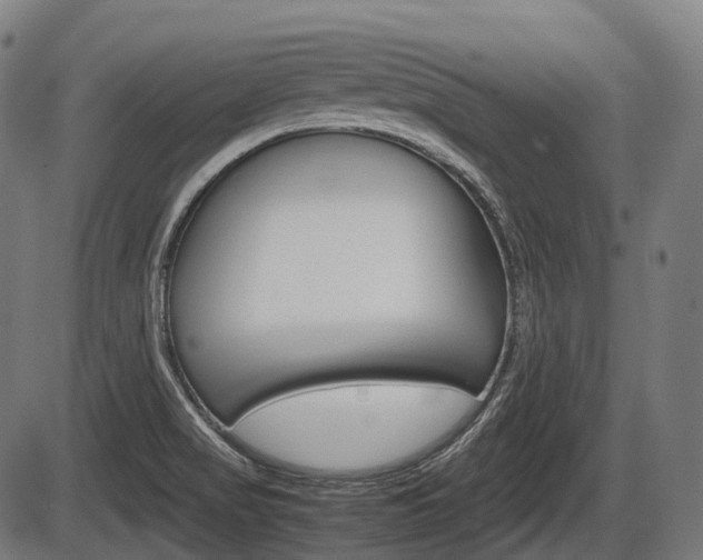 X0000087581517200704271032