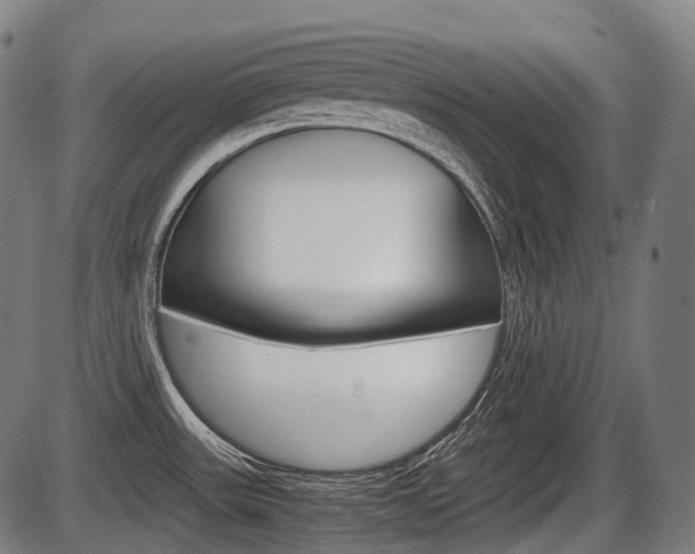 X0000087581531200704271032