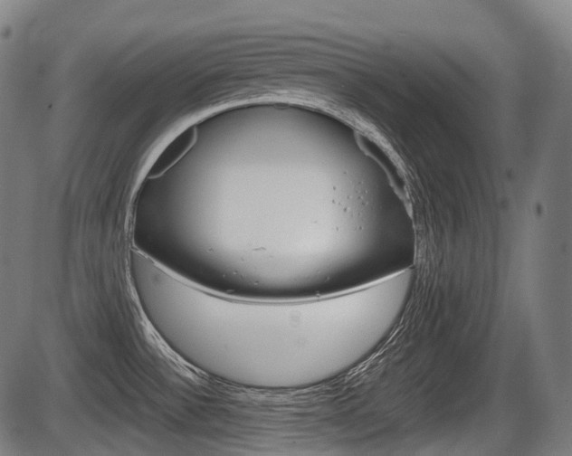 X0000087581532200704271032
