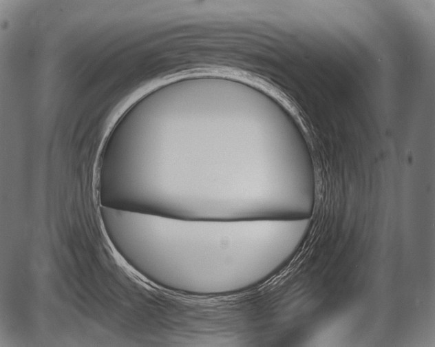 X0000087581535200704271032