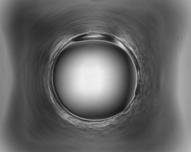 X0000087580001200704271313