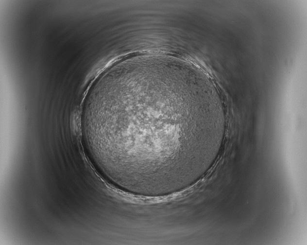 X0000087580002200704271313