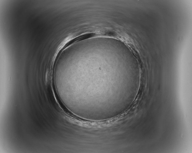 X0000087580003200704271313
