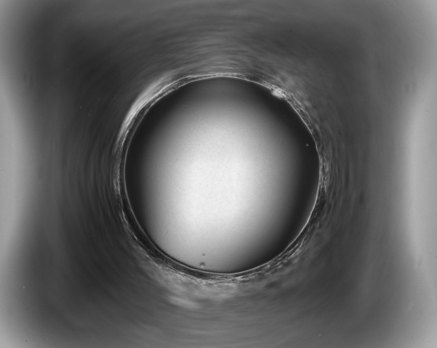 X0000087580004200704271313