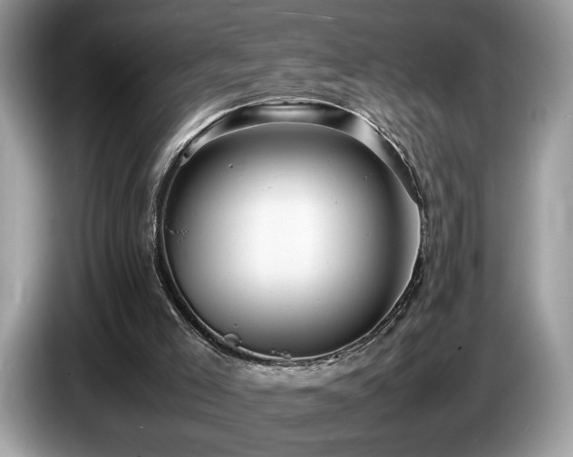 X0000087580005200704271313