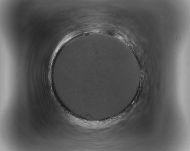 X0000087580006200704271313